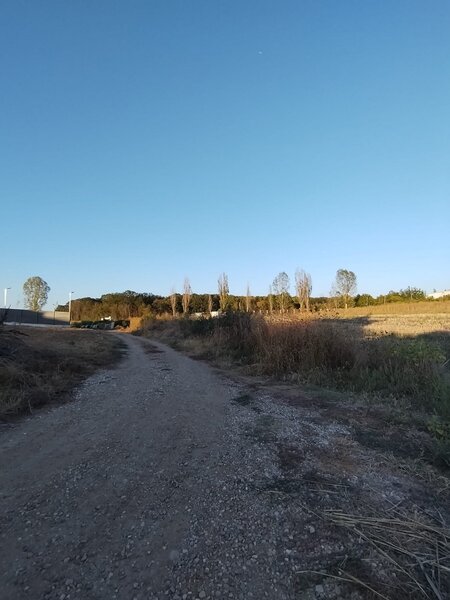Ciolpani, COR,