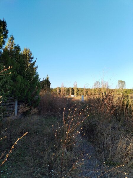 Ciolpani, COR,