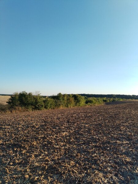 Ciolpani, COR,