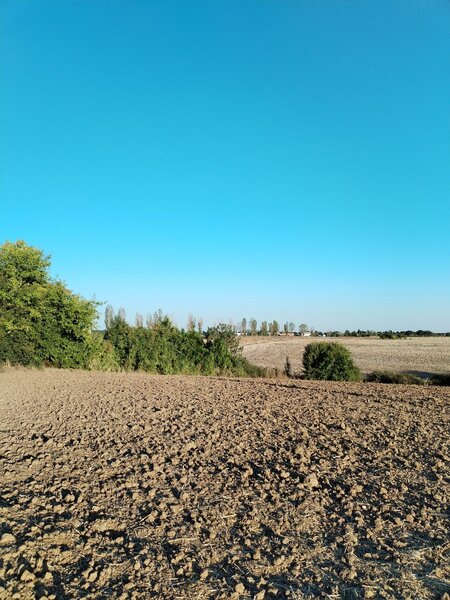 Ciolpani, COR,