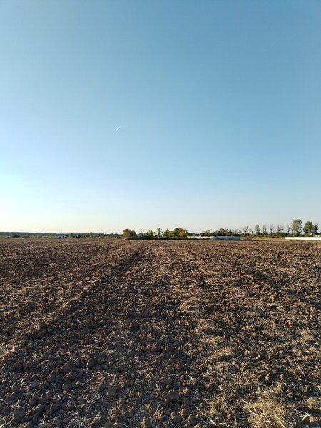Ciolpani, COR,