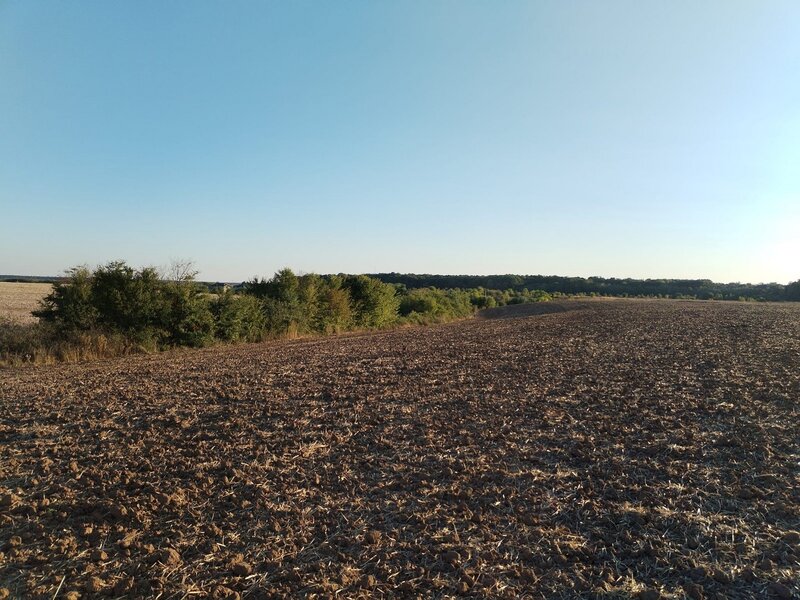 Ciolpani, COR,