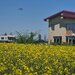 Ciolpani, COR,